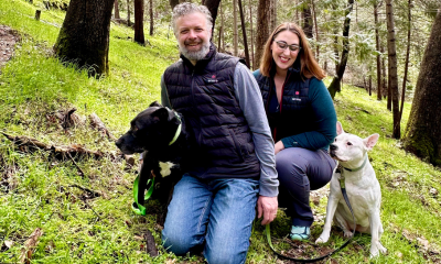 Dog walking with heated apparel