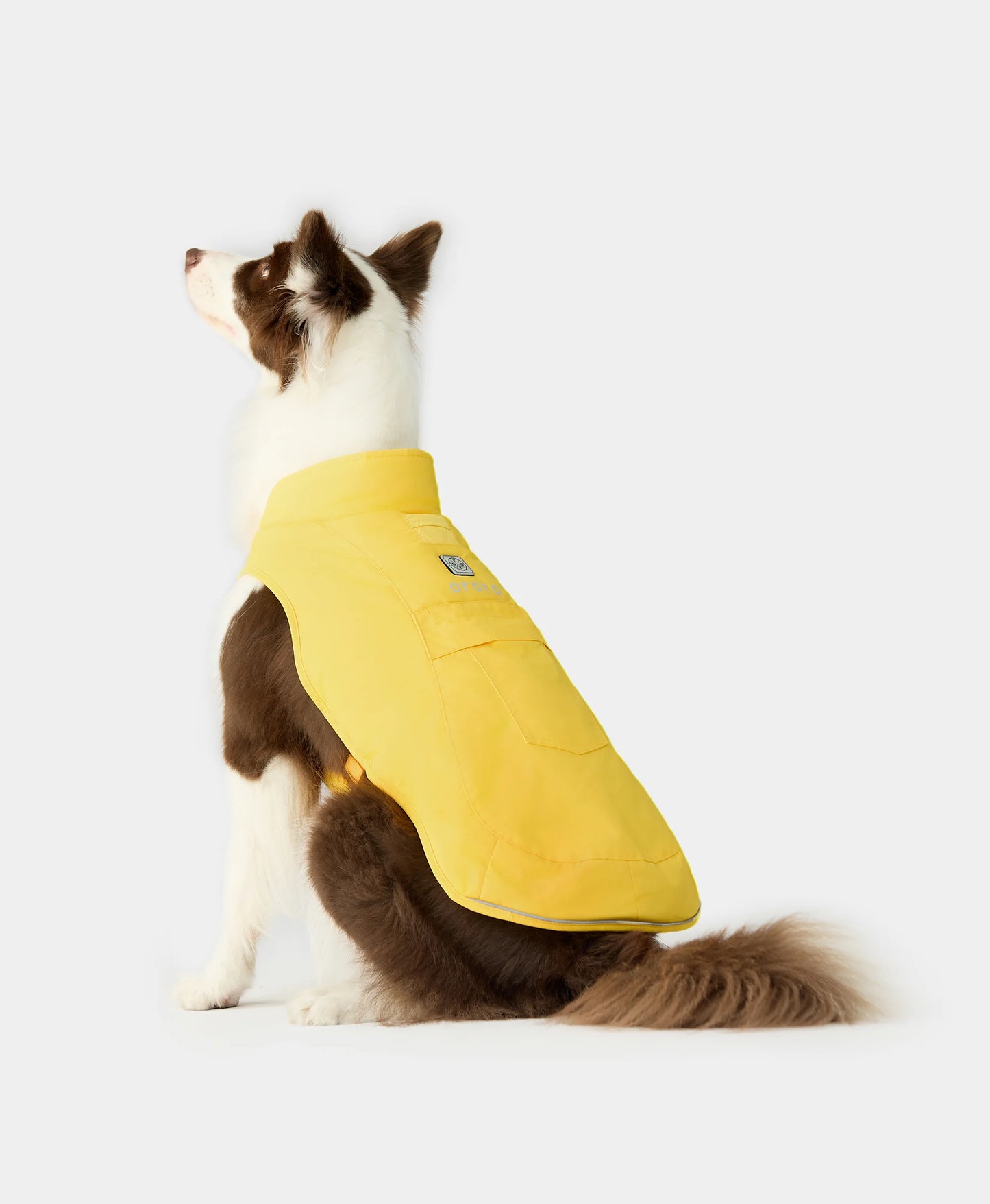 Koldpwoof Heated Dog Vest