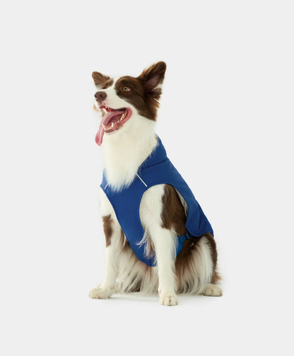 Koldpwoof Heated Dog Vest