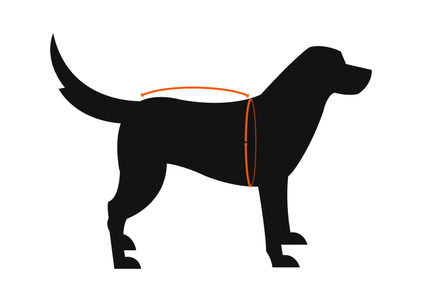 Dog Vests Size Chart | How to Measure: Chest Girth